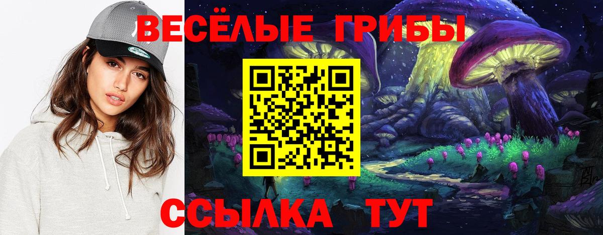 цена   Галлюциногенные грибы мицелий  Вход с VPN  Майкоп 